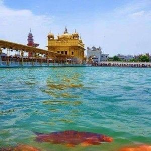 Meet your Posher, Jasbir